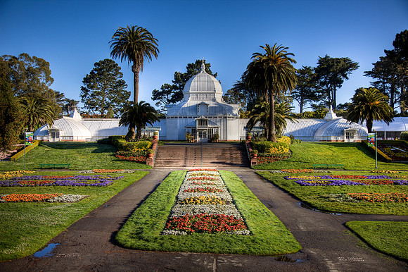 Conservatory of Flowers 1