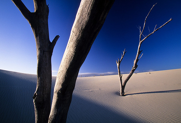 Henty Dunes