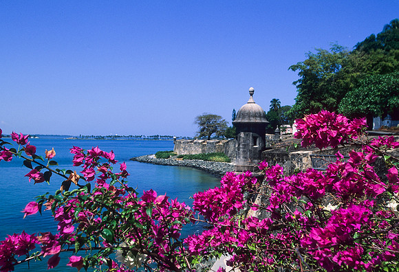 City Wall