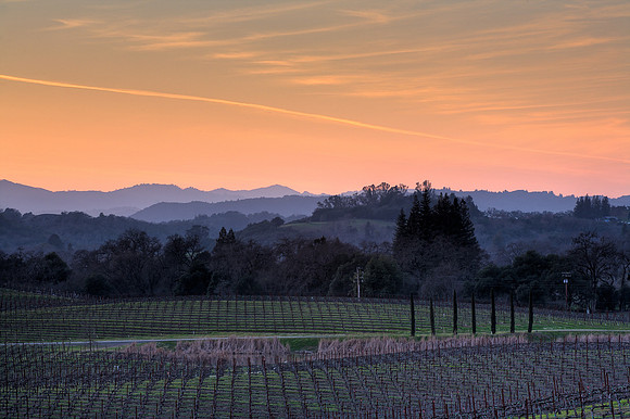 Alexander Valley 1