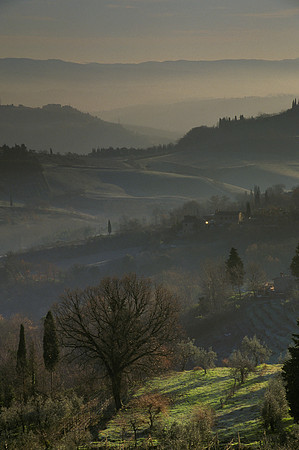 Tuscan Haze