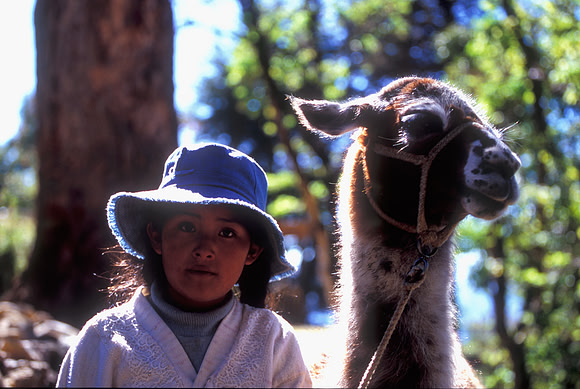 Girl with Alpaca