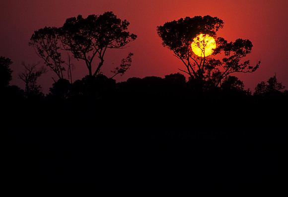Carolina Sunset