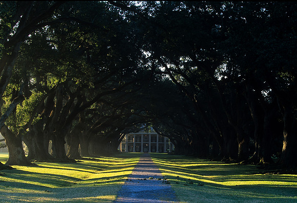 Oak Alley