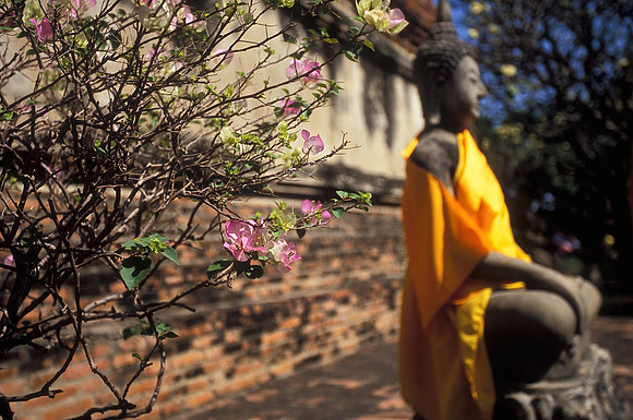 Blossom Buddha