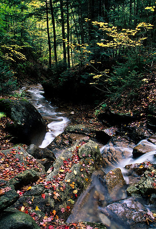 Notch Waterfall