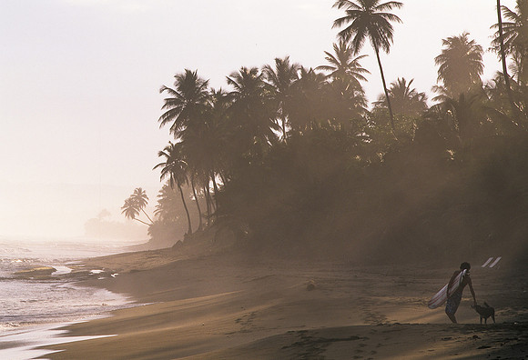 Surfer with Dog