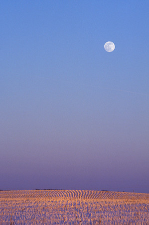 Winter Moonrise