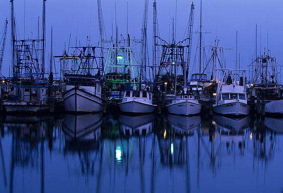 Biloxi Boats
