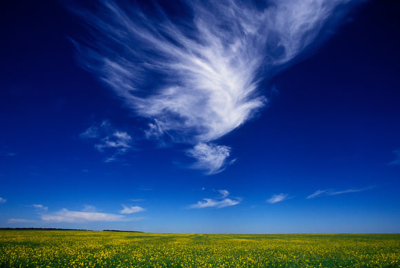 Blue Skies