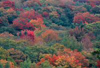 Autumn in New England